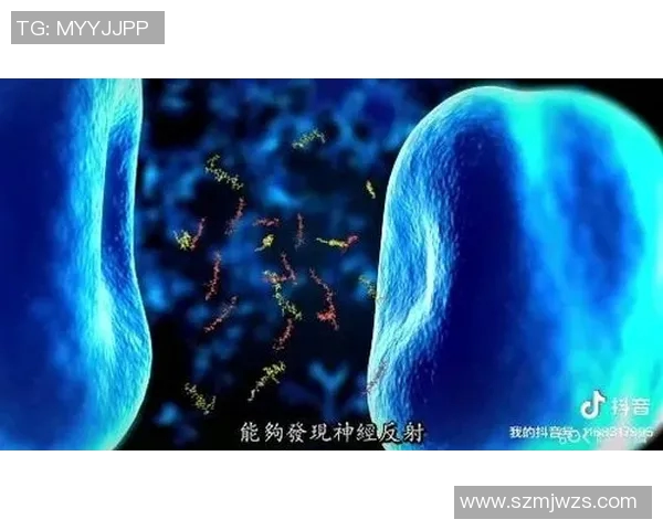 太空计划篮球明星的宇宙征程与地球篮球的奇妙碰撞 太空计划篮球明星的宇宙征程与地球篮球的奇妙碰撞
